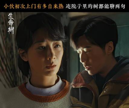 杨紫张哲华新剧生命树曝无人区救援片段