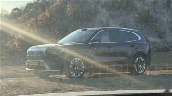 宝马X5国产平替极氪8X实车出街