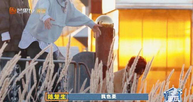 陈楚生撒娇突袭！快乐老友记兄弟情藏在三岁的“要抱抱”反差萌里