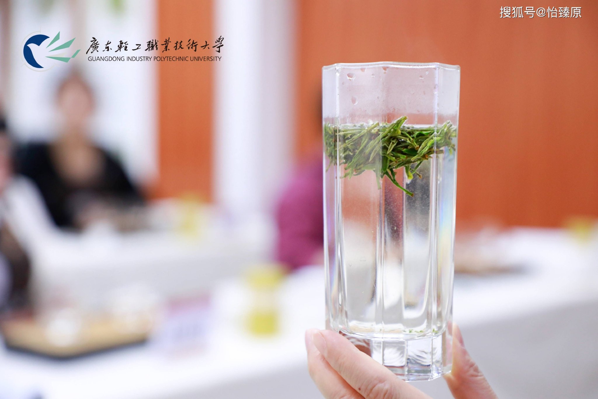 劝你年底前学会茶艺：年前“高价值投资”，年后“社交硬通货”