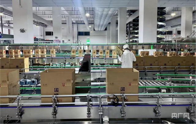 智能化包装车间有序作业中（央广网记者 顾炀威 摄）