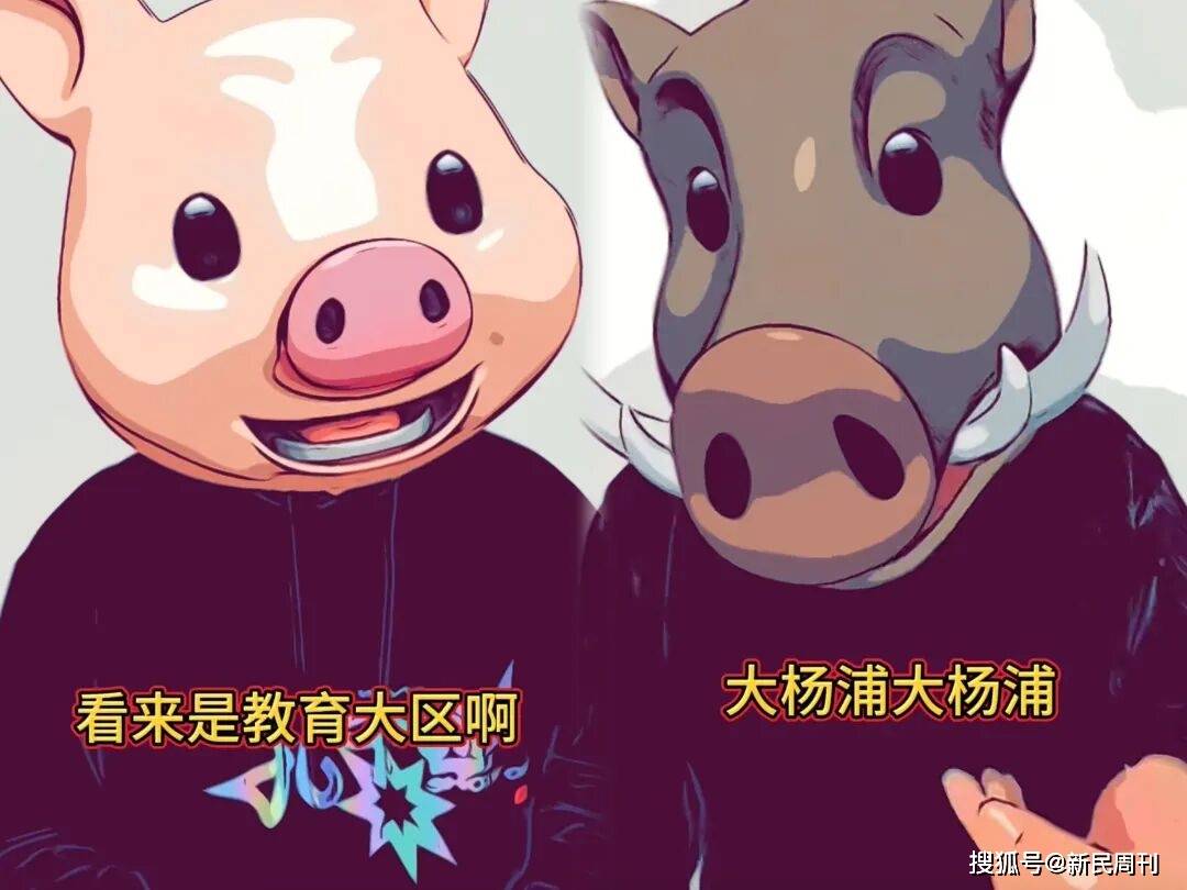 互联网优创者“说” | 上海小马哥：两只猪演绎一座城的真实百态