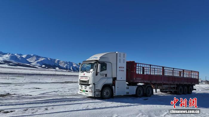 （活力中国调研行）氢能车辆显身手 重庆九龙坡打造“西部氢谷”