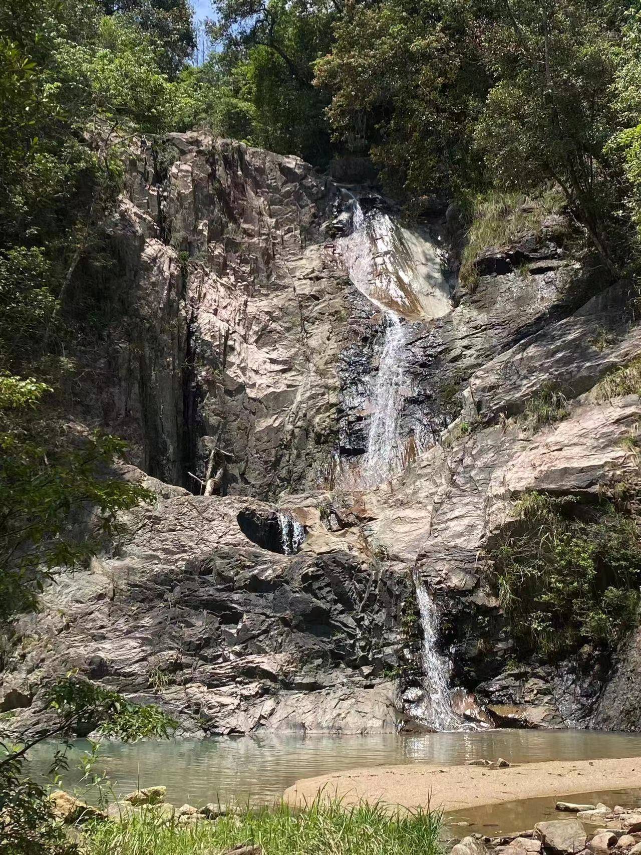 周杰伦的《花海》，承包了所有暗恋的温柔