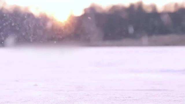 武大靖携众星唱响冬奥MV，集结樊振东马龙等健儿赛场高光