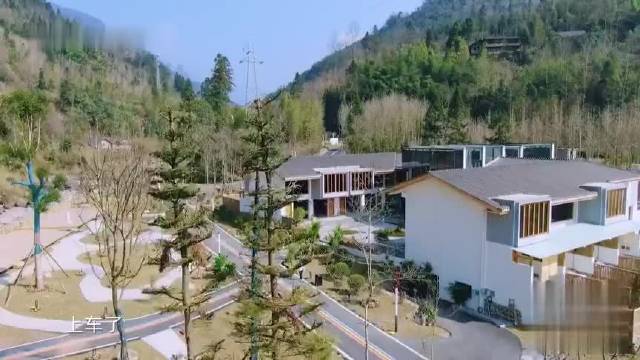 陈建斌竟说：伴妻如伴虎，蒋勤勤立马小冷眼唰过去，陈老师求生欲满满