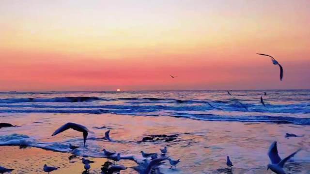 沐星眠寄语愿你做自己的原野遍历沧桑仍带花香