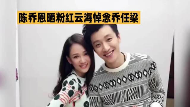 陈乔恩晒粉红云海悼念乔任梁·陈乔恩·乔仼梁·