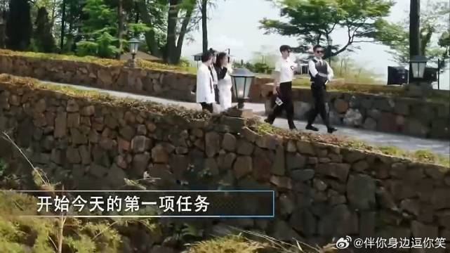 杨颖白鹿关系真好 俩人打着伞边走边聊，讲话不亦乐乎的