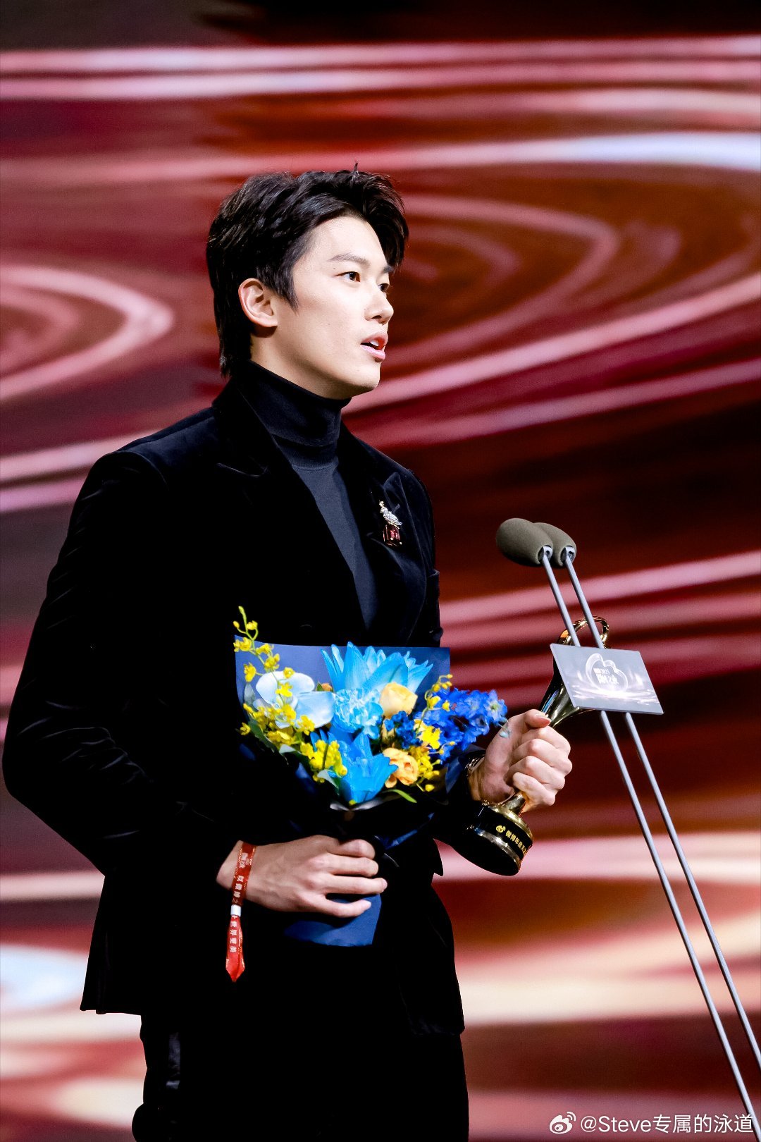 汪顺获微博年度关注运动员称号