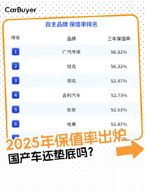 国产电车真的不保值？2025保值率榜单，谁最让人意外！