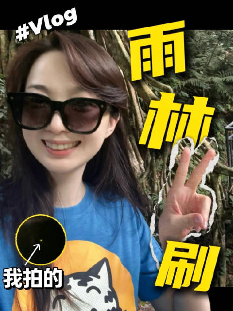 游客拍摄萤火虫失败仍称现场观赏有趣