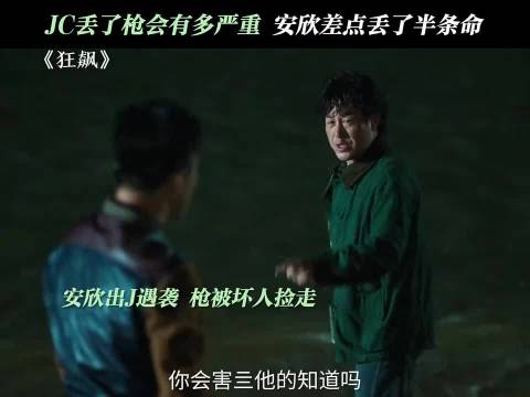 要是安欣枪真丢了，那就没后面几十集的事了 "狂飙 "张译 "张颂文 "李一桐