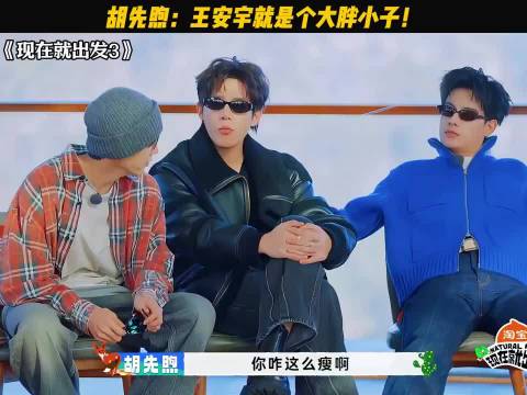 胡先煦：王安宇就是个大胖小子