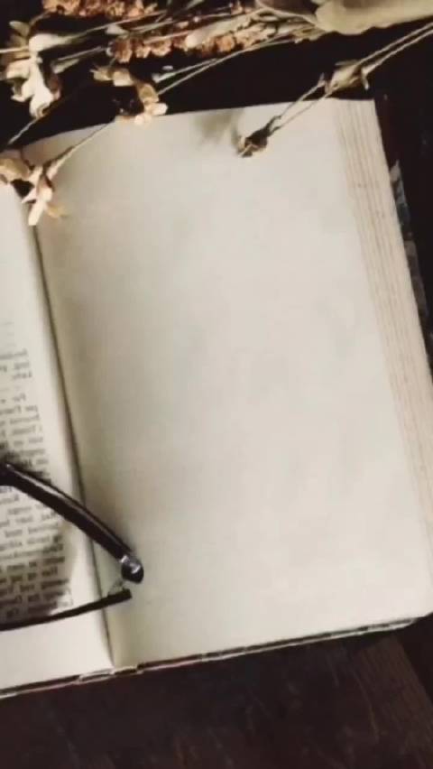 红嘴鸥轻盈落水泛起涟漪，夕阳下静思生命真谛