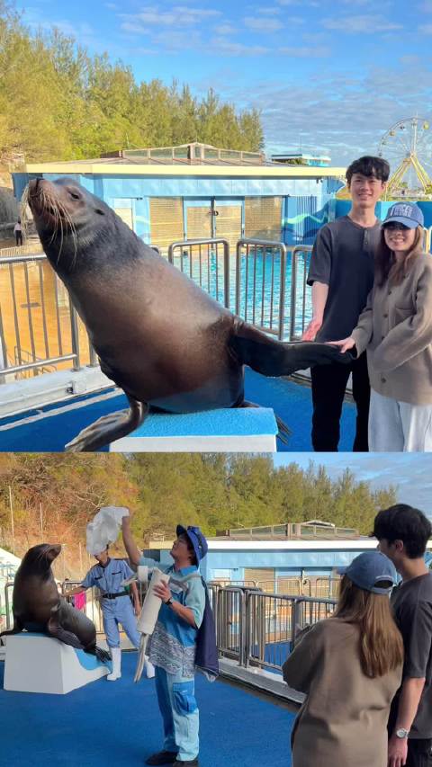 逃课的21岁小朋友终于被邀请和海狮互动了