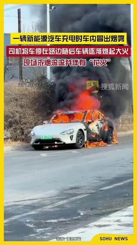 辽宁营口新能源汽车充电时自燃，现场浓烟滚滚