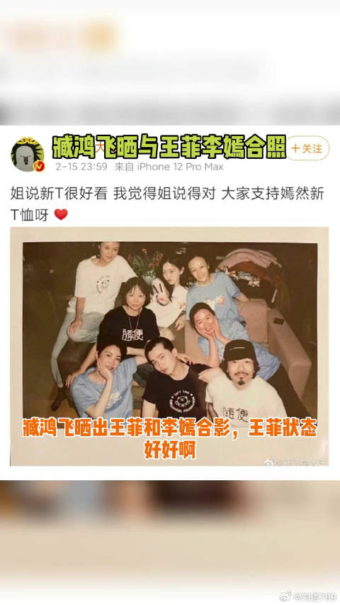 王菲 和微博VC计划