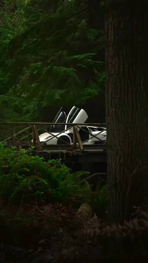 兰博基尼穿越森林演绎豪华速度