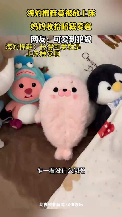 海豹棉鞋竟被放上床，妈妈收拾暗藏爱意，网友：可爱到犯规