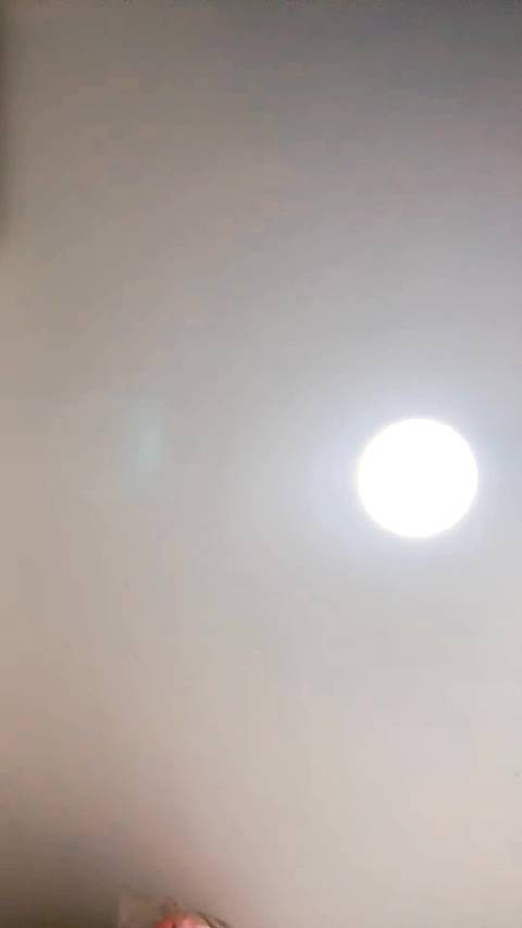 小焦也来可爱颂