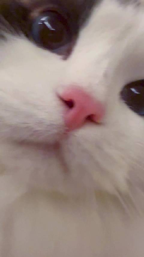 哪里来的拖拉机？