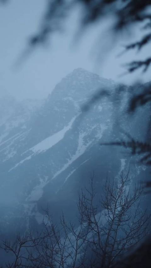 2026米兰冬奥会2月5日开幕，咪咕视频全程直播