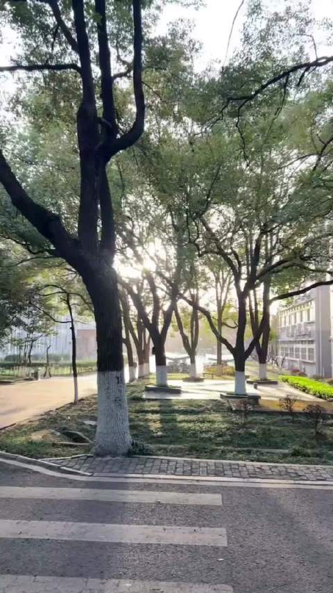 安徽高校声景实录，竹园午后自然韵律