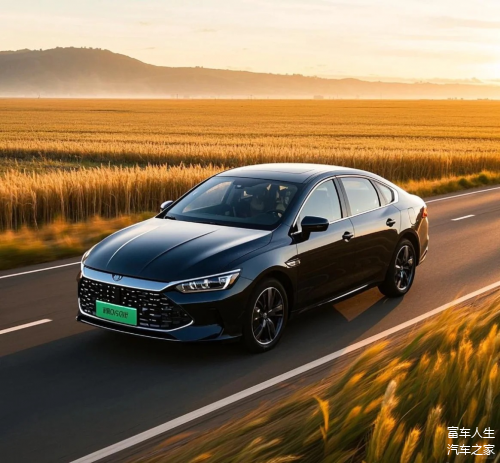 哪些新能源车保值情况较好?权威数据解析