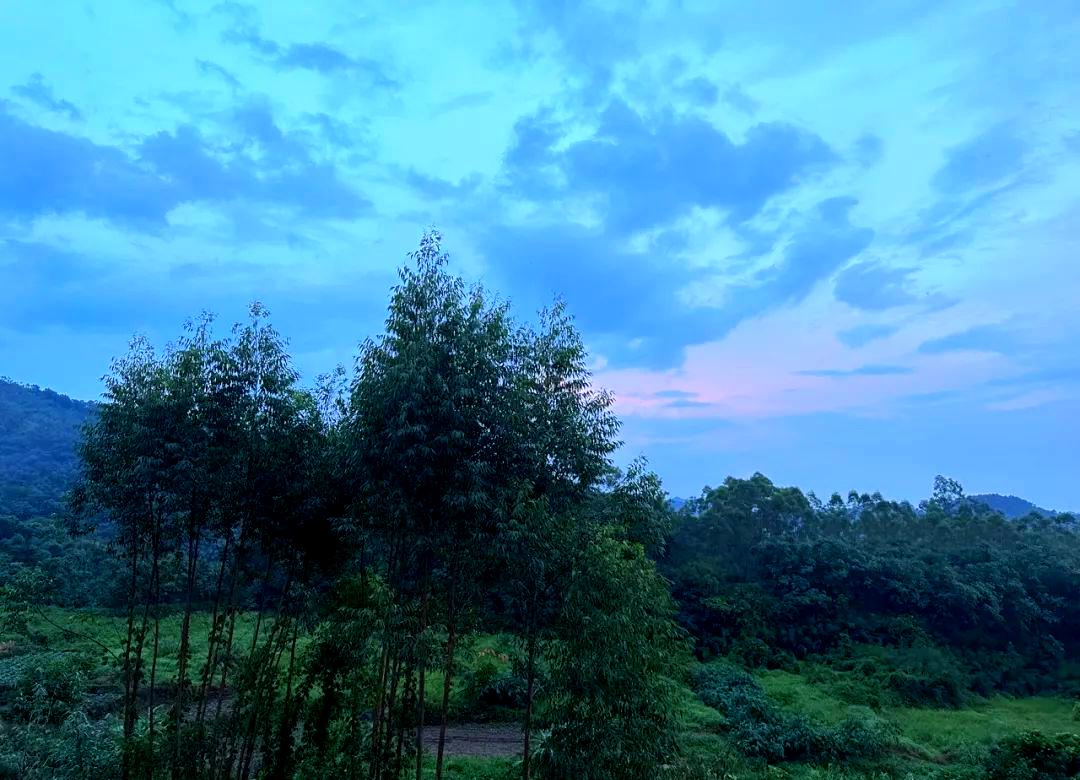 过年回家：感受父母变化与农村生活的真谛