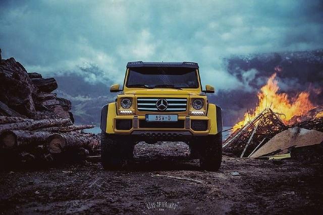 为什么奔驰分“大标”和“立标”两种？它们之间有什么不同？