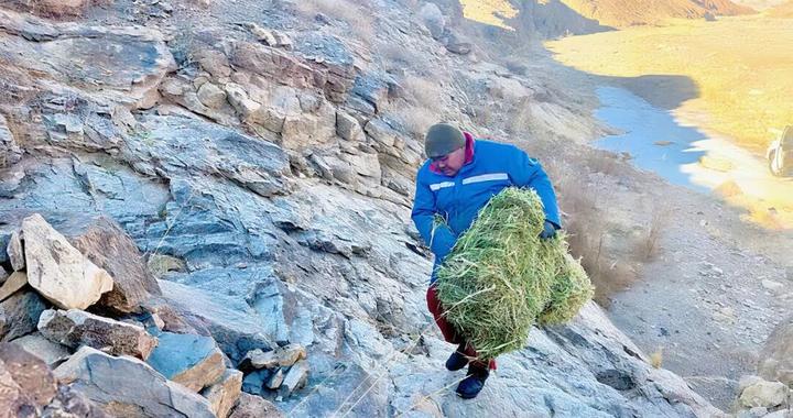 跑坏12辆摩托2辆汽车，牧民钢巴特尔守出了一桩“神羊”功业