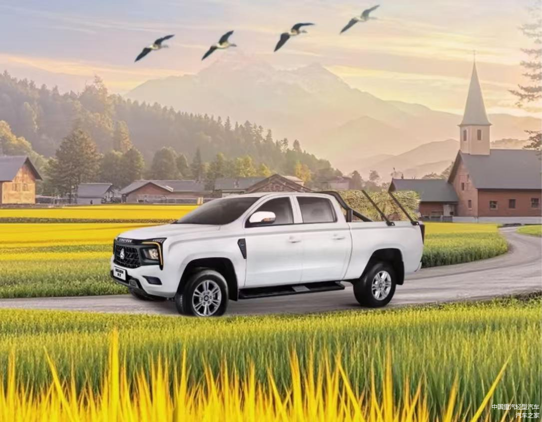 中国重汽搏胜皮卡定制选装包,怎么选都超值!