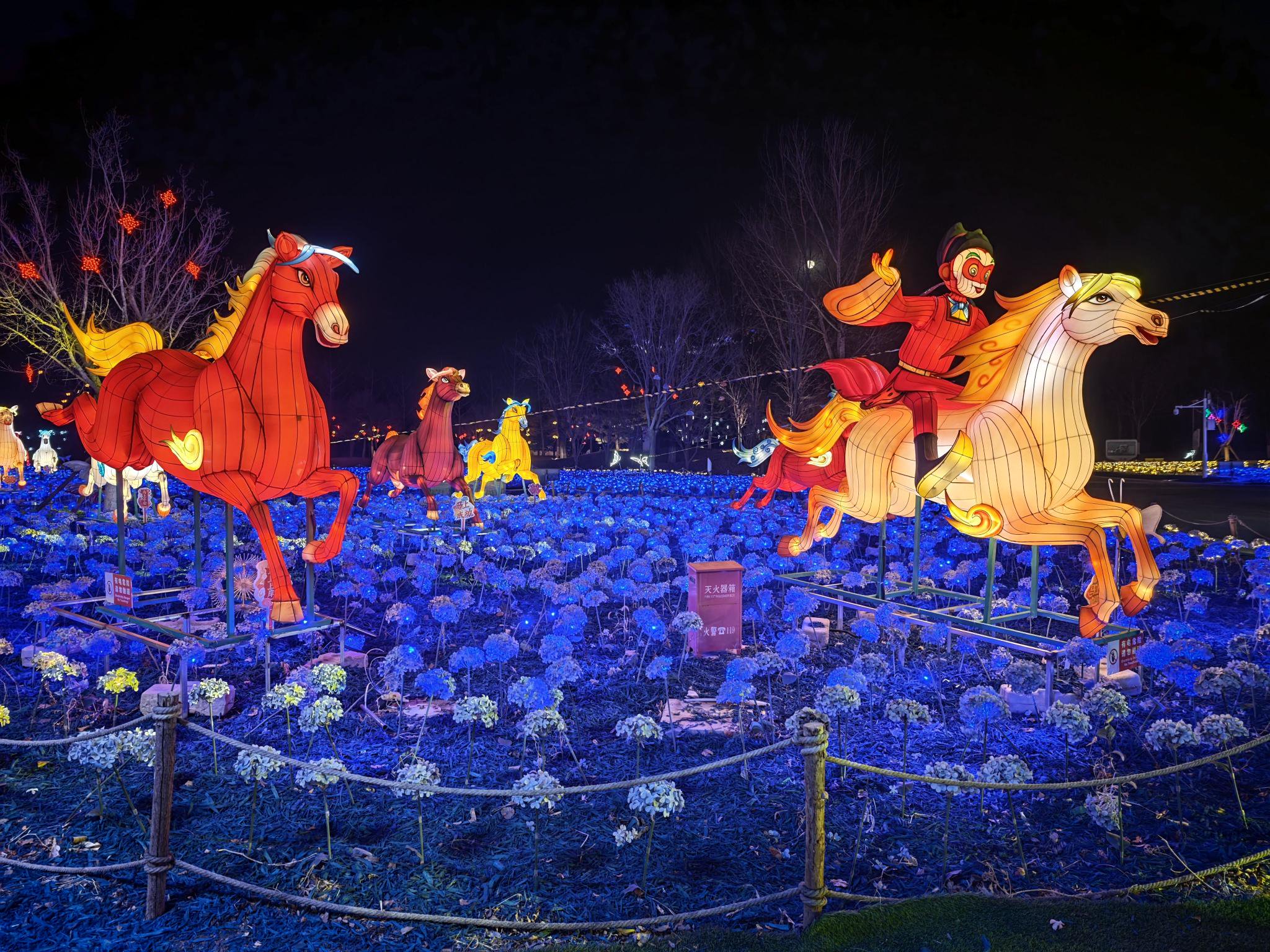 世園天宮燈會。新京報記者 王巍 攝