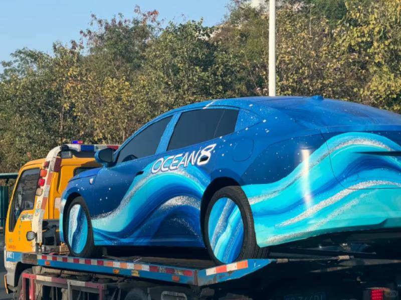 比亚迪确认推出海洋网双旗舰车型 海豹08与海狮08将于2026年亮相