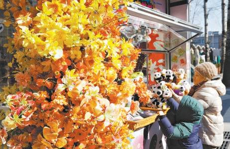 新春花事绽放卫星厂