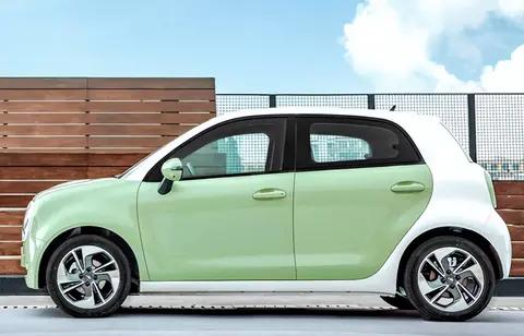 因动力电池过热 长城召回欧拉黑猫/白猫