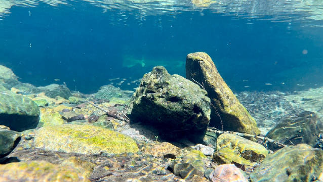 在老边沟，感受水下世界的宁静 老边沟水下生境