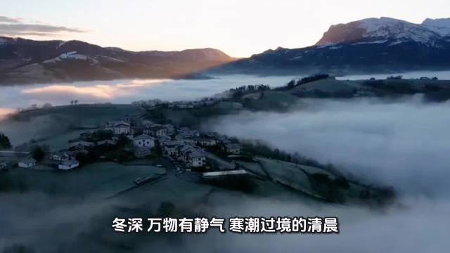 冬深万物蓄静气，寒潮清晨现澄澈