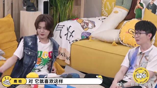私下的鹿晗这么接地气，当着镜头逗狗，好可爱！