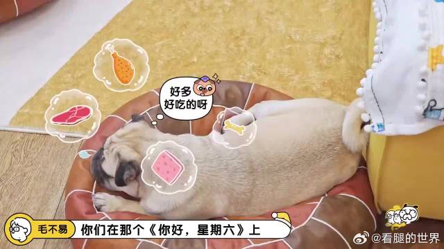 秦霄贤爆料《好六》各种游戏，都和水有关，想想都头疼！