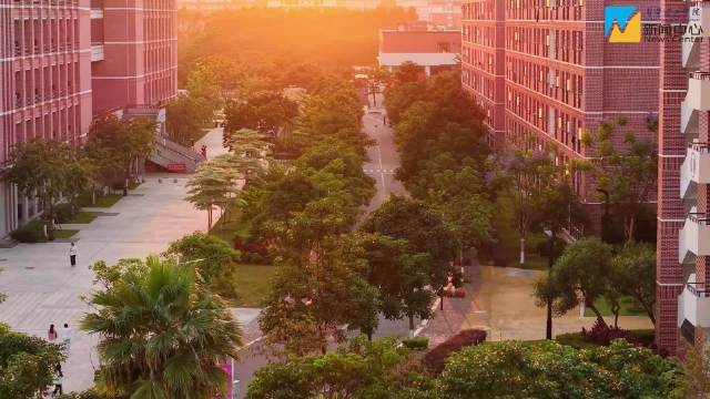 暮色南理镀金青春，广西高校浪漫时分