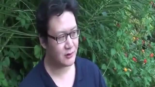 真正的实战武术，身体一定是缩着的！