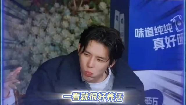 王安宇吃饭怎么看都感觉是有人在和他抢吃的一样，真狼吞虎咽