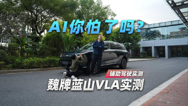 AI你怕了吗 魏牌蓝山VLA实测