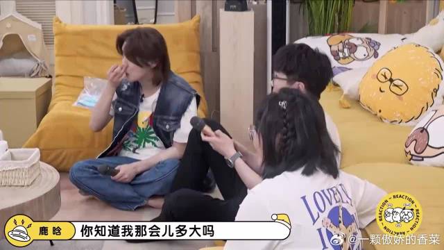 不愧内娱顶流！鹿晗清唱《我们的明天》，上演开口跪