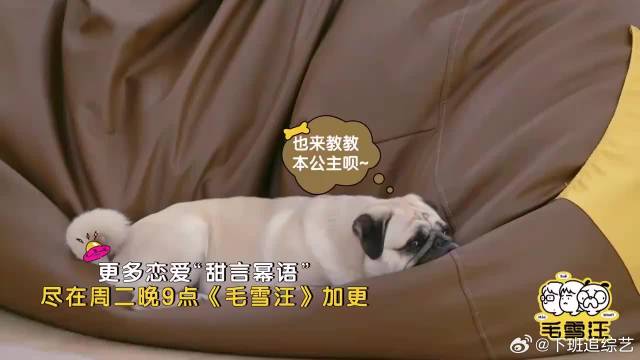 李纯公开与马頔恋情，杨幂作为好友竟不知道，翻白眼警告