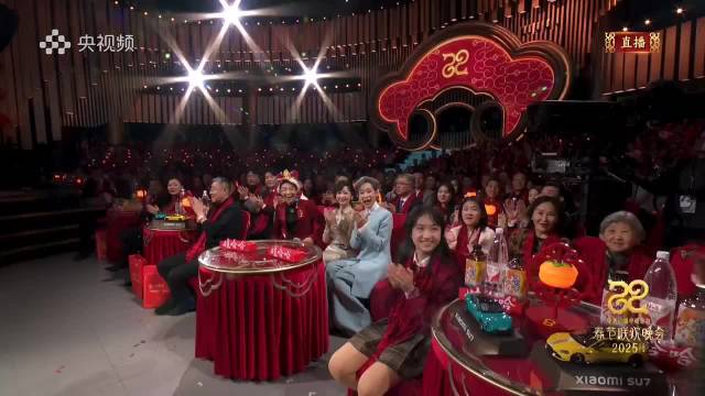 回顾2025央视春晚小品《金龟婿》：沈腾、马丽演绎“提灯定损”～期待