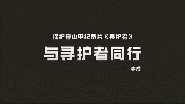IT工程师李成组建中国首支穿山甲巡护队