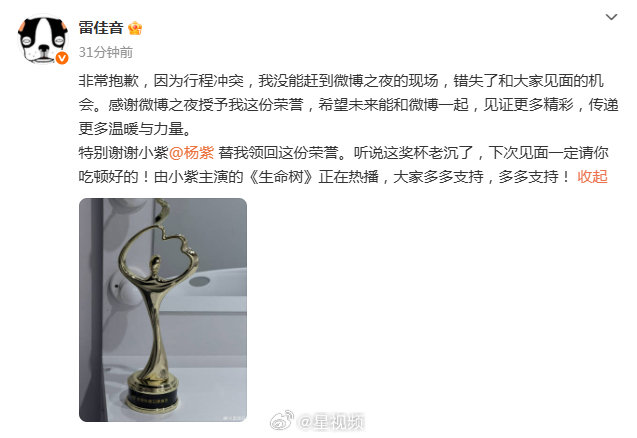 雷佳音缺席微博之夜，杨紫代领年度口碑演员奖